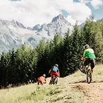 ホテル Walliserhof 4*
