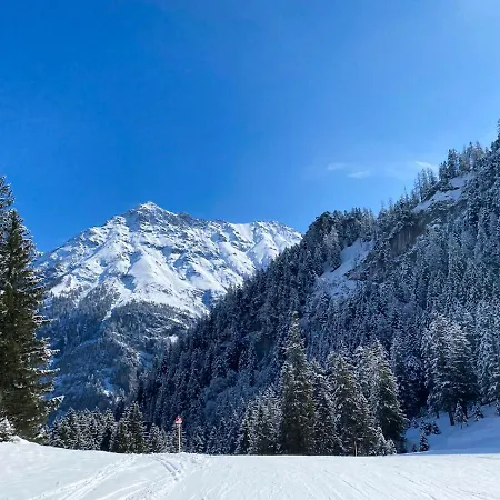 Ξενοδοχείο Walliserhof 4*