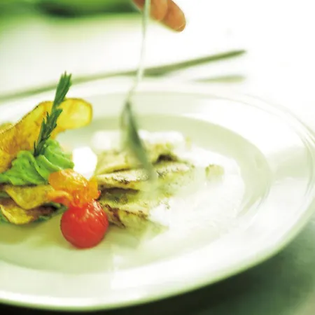 Walliserhof Ξενοδοχείο Brand (Vorarlberg)