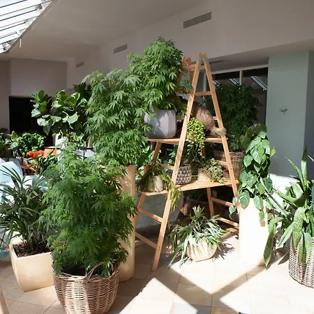 Hotel Walliserhof Brand (Vorarlberg)