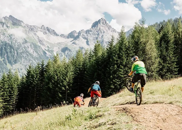 Hotel Walliserhof 4*