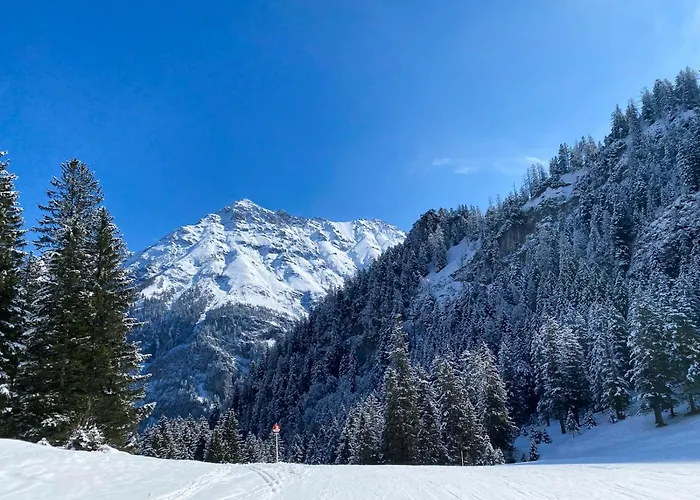 Hotel Walliserhof 4*