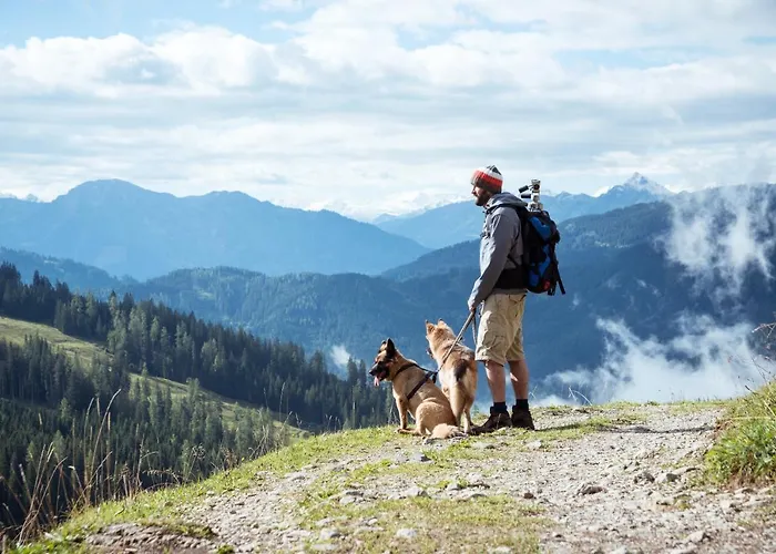 瓦利斯尔霍夫酒店 酒店 布兰德