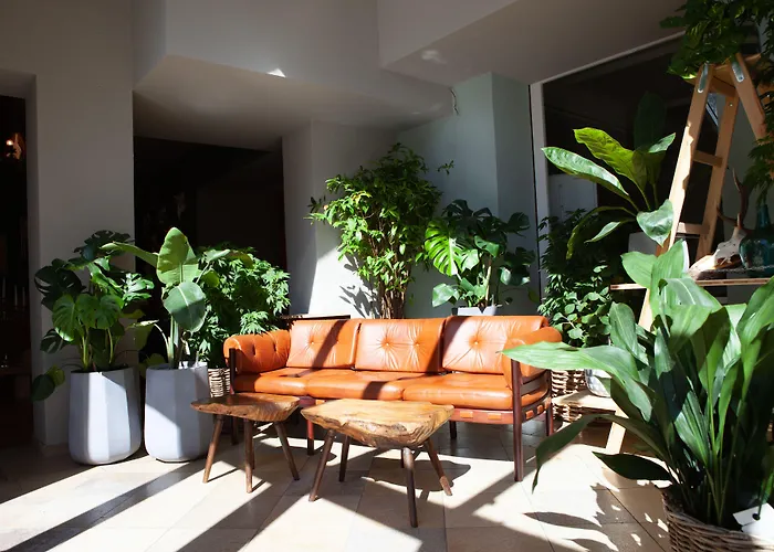 酒店 瓦利斯尔霍夫酒店